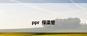 ppr 保温管