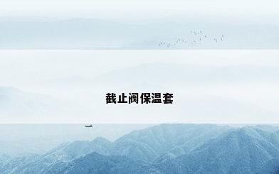截止阀保温套