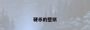 硬币的壁纸