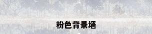 粉色背景墙
