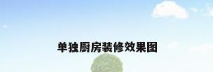 单独厨房装修效果图