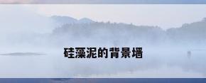 硅藻泥的背景墙