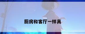 厨房和客厅一样高