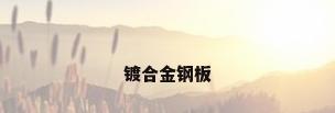 镀合金钢板