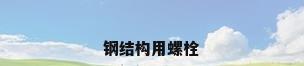 钢结构用螺栓