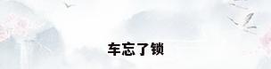 车忘了锁