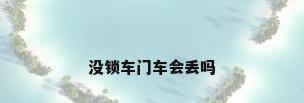 没锁车门车会丢吗