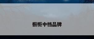 橱柜中档品牌