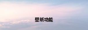 壁纸功能