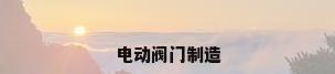 电动阀门制造