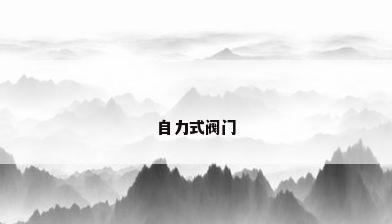 自力式阀门