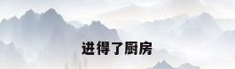 进得了厨房