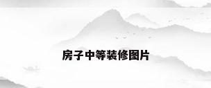 房子中等装修图片
