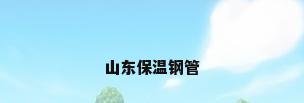 山东保温钢管