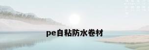 pe自粘防水卷材