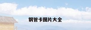 钢管卡图片大全