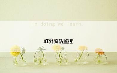 红外安防监控