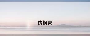 钨钢管