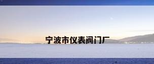 宁波市仪表阀门厂