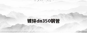 镀锌dn350钢管