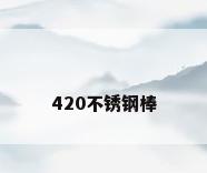 420不锈钢棒
