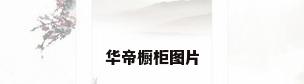 华帝橱柜图片