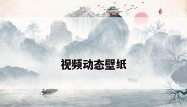 视频动态壁纸