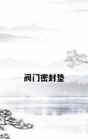 阀门密封垫