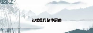 老板现代整体厨房