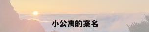 小公寓的案名