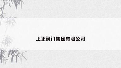 上正阀门集团有限公司