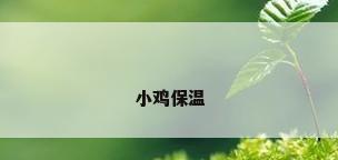 小鸡保温