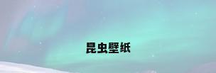 昆虫壁纸