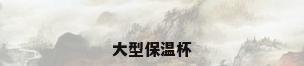 大型保温杯