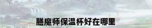 膳魔师保温杯好在哪里