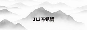 313不锈钢