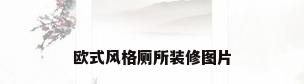 欧式风格厕所装修图片