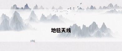 地毯天线