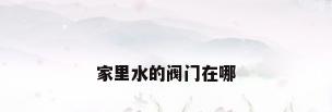家里水的阀门在哪