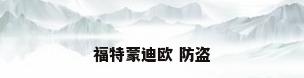福特蒙迪欧 防盗