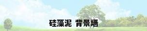 硅藻泥 背景墙