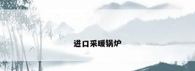 进口采暖锅炉