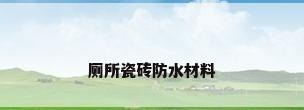 厕所瓷砖防水材料