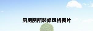 厨房厕所装修风格图片