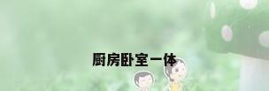 厨房卧室一体