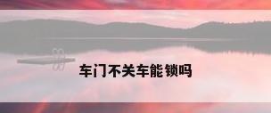 车门不关车能锁吗