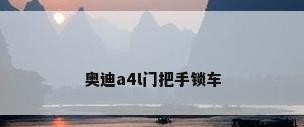 奥迪a4l门把手锁车
