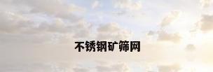 不锈钢矿筛网