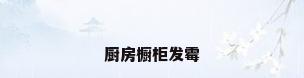 厨房橱柜发霉