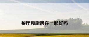 餐厅和厨房在一起好吗
